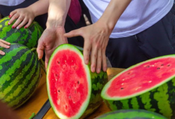 河南技术学院吃瓜爆料,揭秘校园风云事件