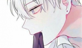 漫画男生名字大全,探寻独特魅力与个性风采